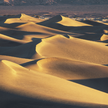 Les dunes, source d'inspiration