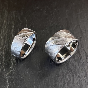 Alliances 1080 - copie